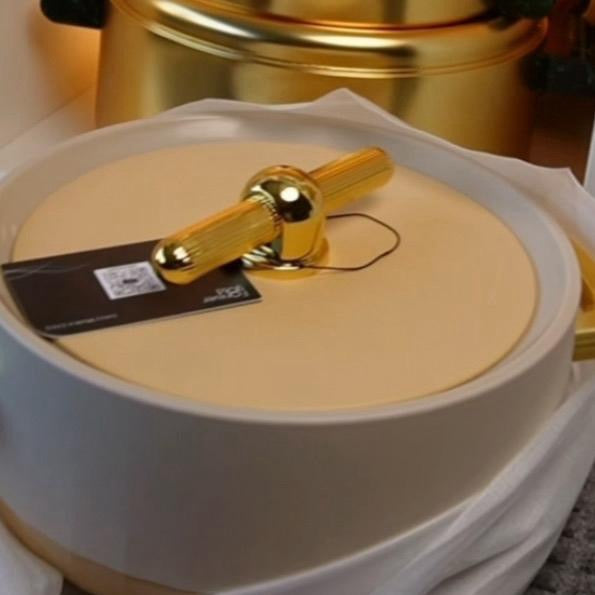 Luxurious Modern Hot Pots Set of 3, Plastic & Stainless Steel, Gold Handles - 1500ML, 2000ML, 2500ML - Matte Ivory/Gold Cookware Kitchen Cover
